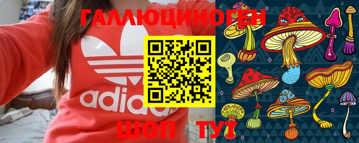 Псилоцибиновые грибы Psilocybe Ахтубинск